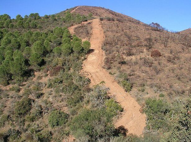 Cortafuegos-forestal